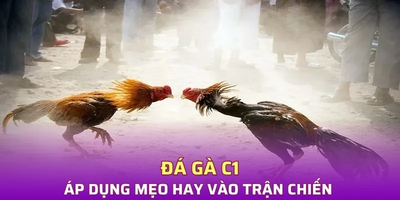 Áp dụng mẹo hay vào đá gà C1