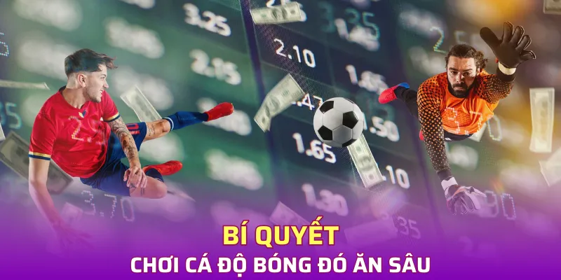 Bí quyết chơi cá độ bóng đó ăn sâu