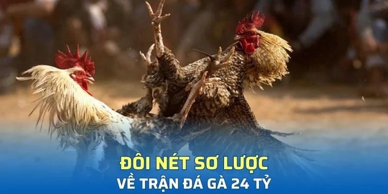 Đôi nét sơ lược về trận đá gà 24 Tỷ