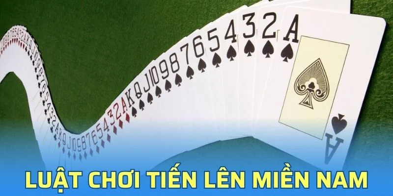 Luật Chơi Tiến Lên Miền Nam - Quy Định Tại Typhu88