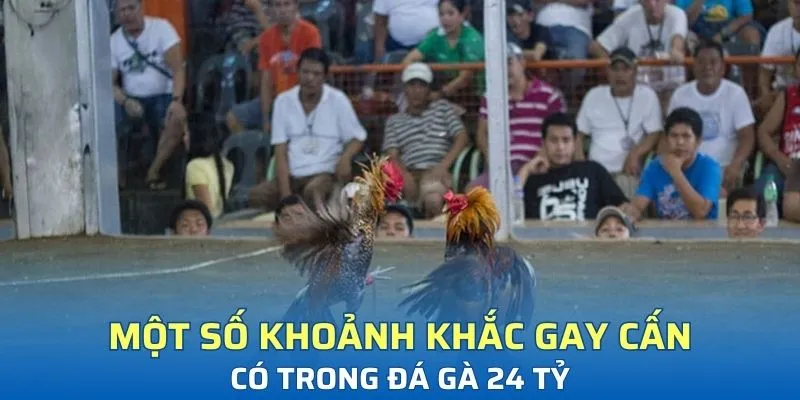 Một số khoảnh khắc gay cấn có trong đá gà 24 tỷ