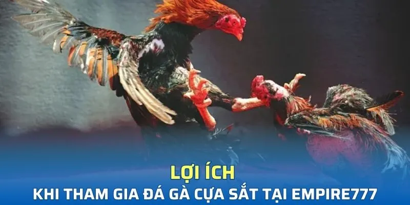 Một số lợi ích khi tham gia đá gà cựa sắt tại Typhu88