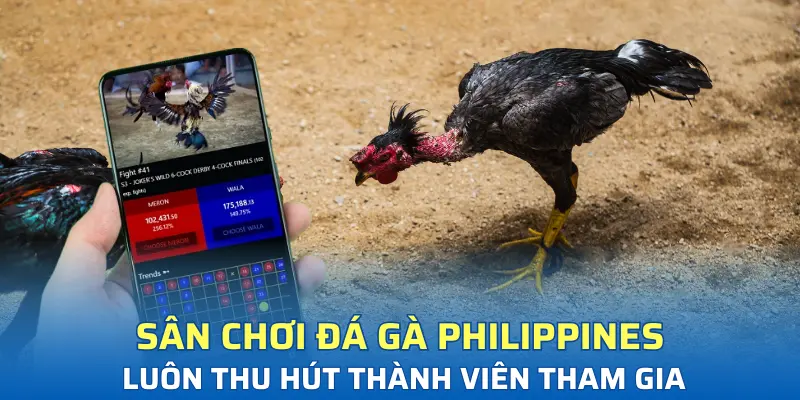 Sân chơi đá gà Philippines luôn thu hút thành viên tham gia